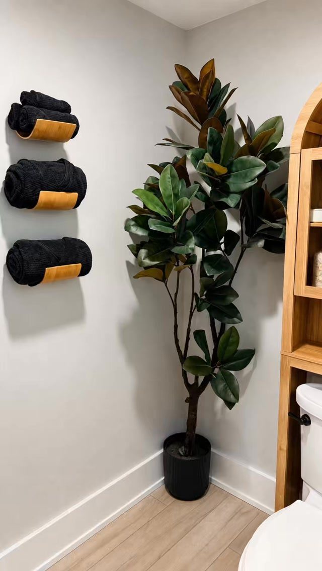 Black rolled towels on wall holders next to a large potted plant in a corner.