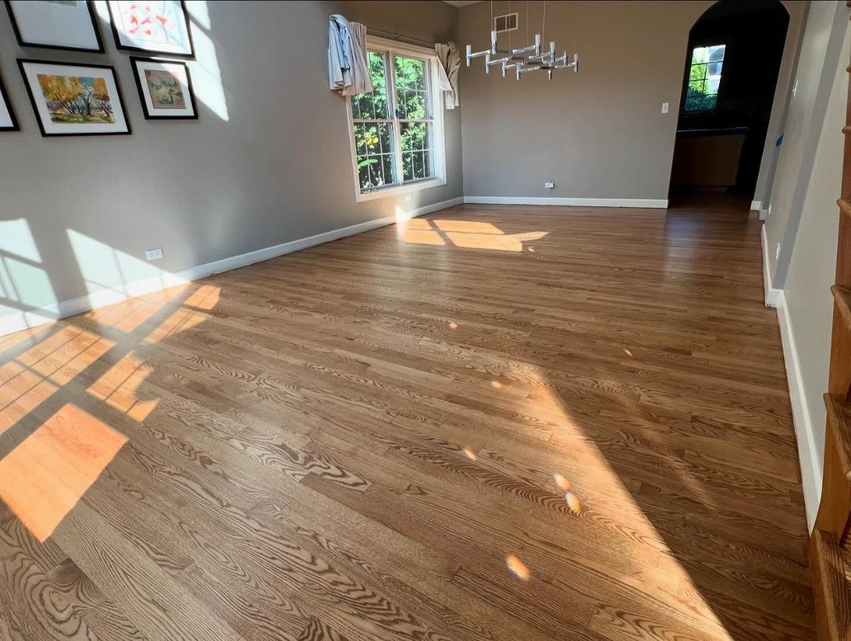 Warm golden oak hardwood flooring in an empty room with sunlight streaming through a window.