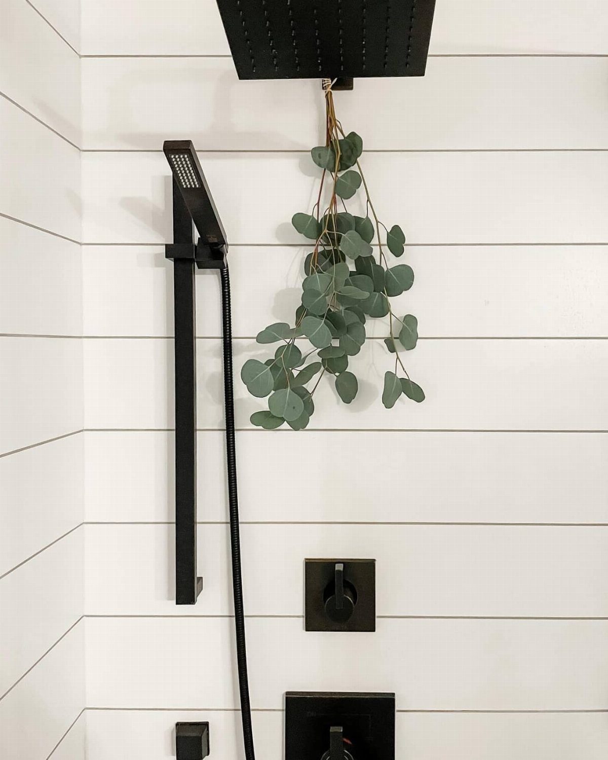 White shiplap wall in a shower with black matte fixtures and hanging eucalyptus.