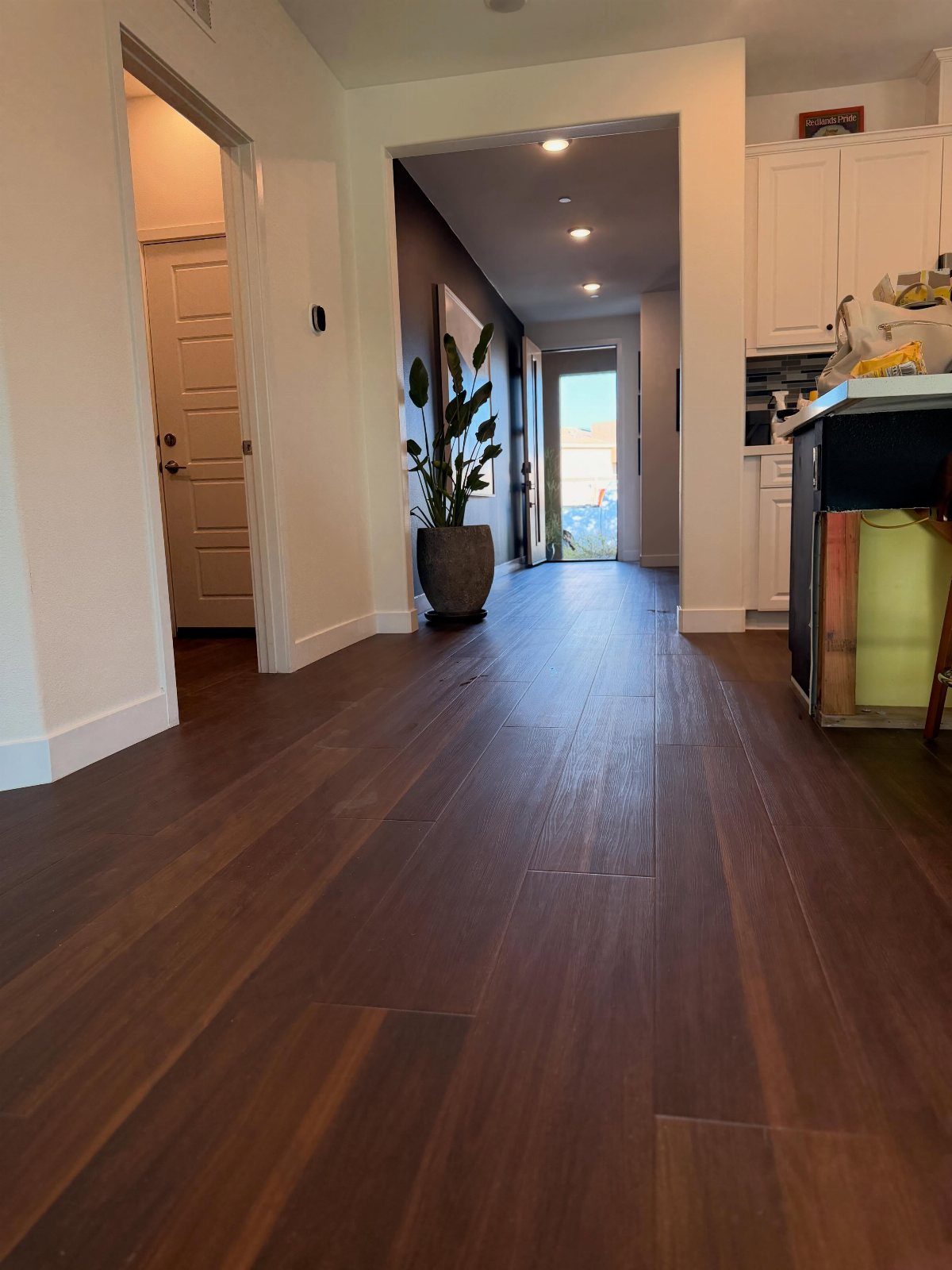 Dark wood plank flooring leading through a bright hallway toward a kitchen and doorway.