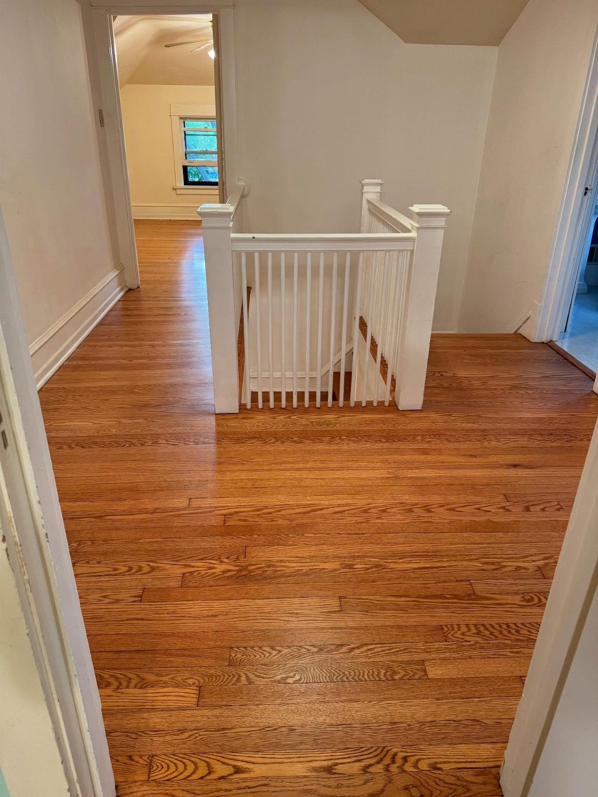 Polished hardwood floors with a warm golden oak stain in a bright hallway.